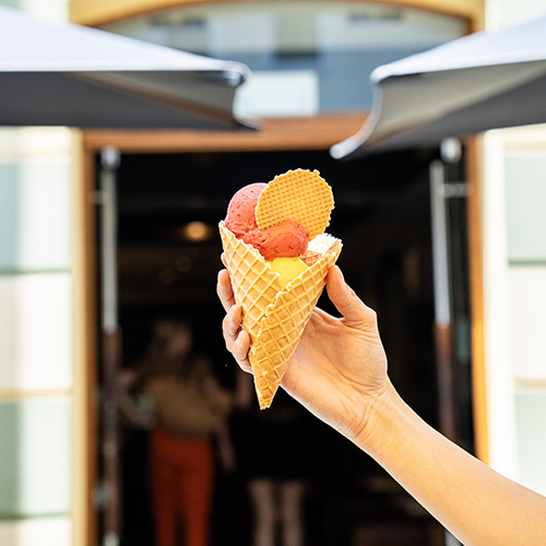 anna-ingolstadt-eis_2