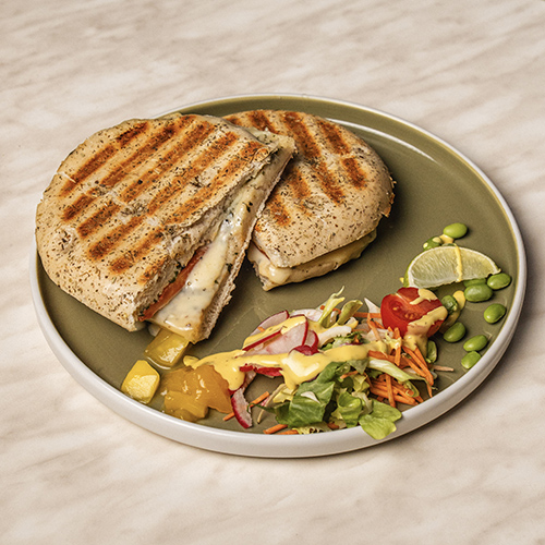 anna-ingolstadt-paninis_5